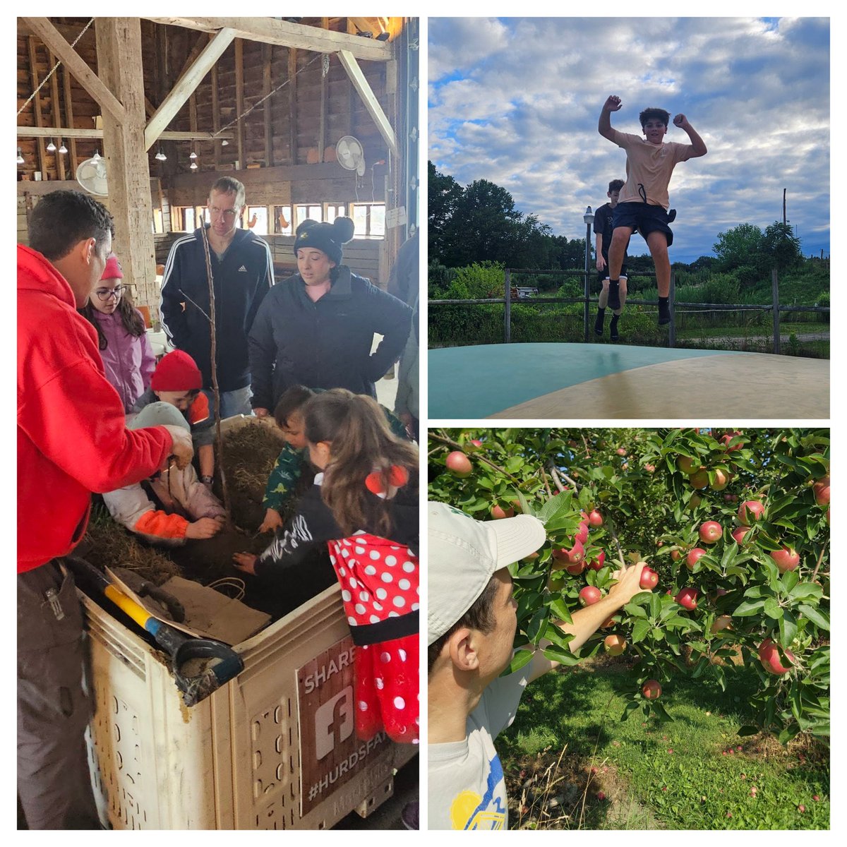 HurdsFamilyFarm's tweet photo. Apple Tree Workshop Series at the Farm!  Have an apple tree… or dreaming of planting one? Join us on the farm for our 3-part hands-on Apple Tree Workshop Series led by our lead grower and farm owner, Charles Hurd. #HandsOnLearning #HudsonValleyEvents #GrowYourOwnFood 
#ILoveNY https://t.co/Lp2MEWz3nZ