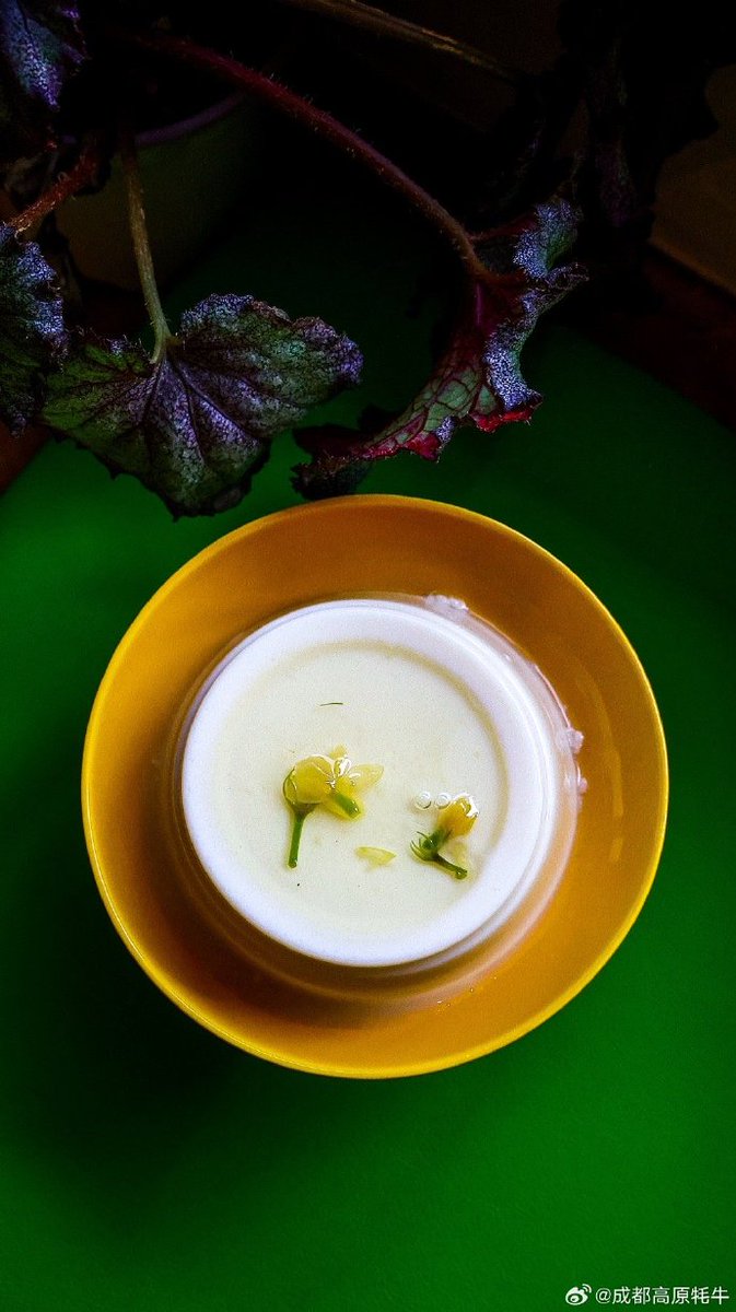 Tk Doyarsa tweet media