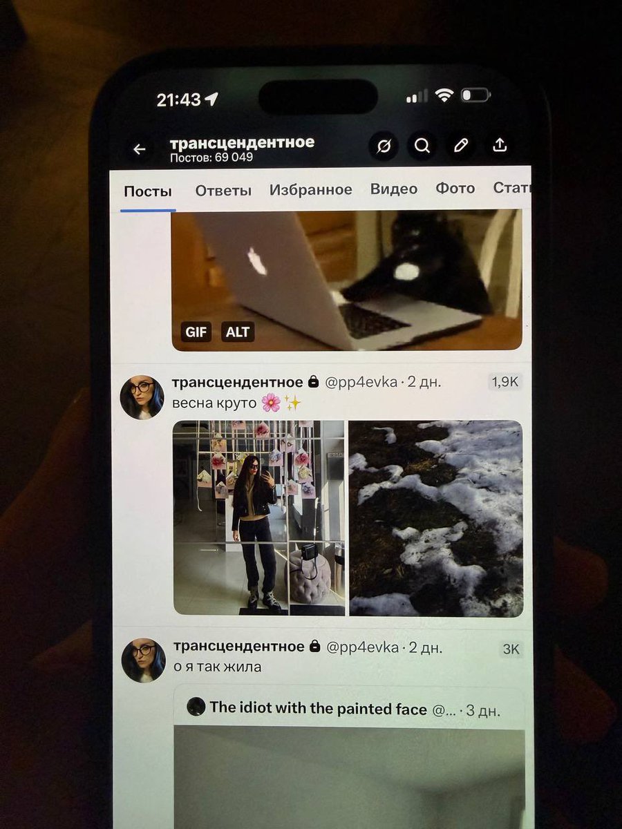 трансцендентное tweet media