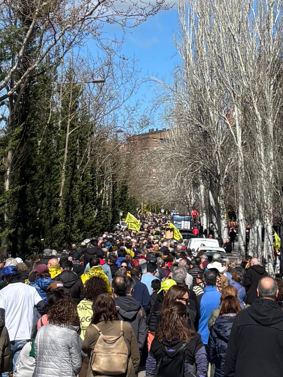 Guillermina tweet media