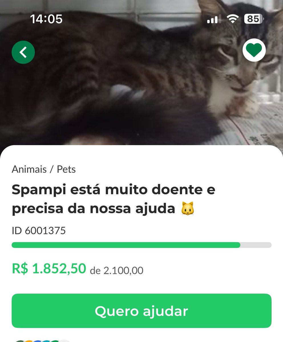theweknds's tweet photo. pessoal, a vakinha do spampi está com quase 90% e a rifa está menos de 50% continuem ajudando 🥹

https://t.co/SU7qONixlj

sobre a rifa, eu vou fazer o sorteio no mesmo dia que todos os números forem vendidos. Tem 52 disponíveis! obg por quem tá comprando e boa sorte a todos 🫶 https://t.co/2exgXWt859