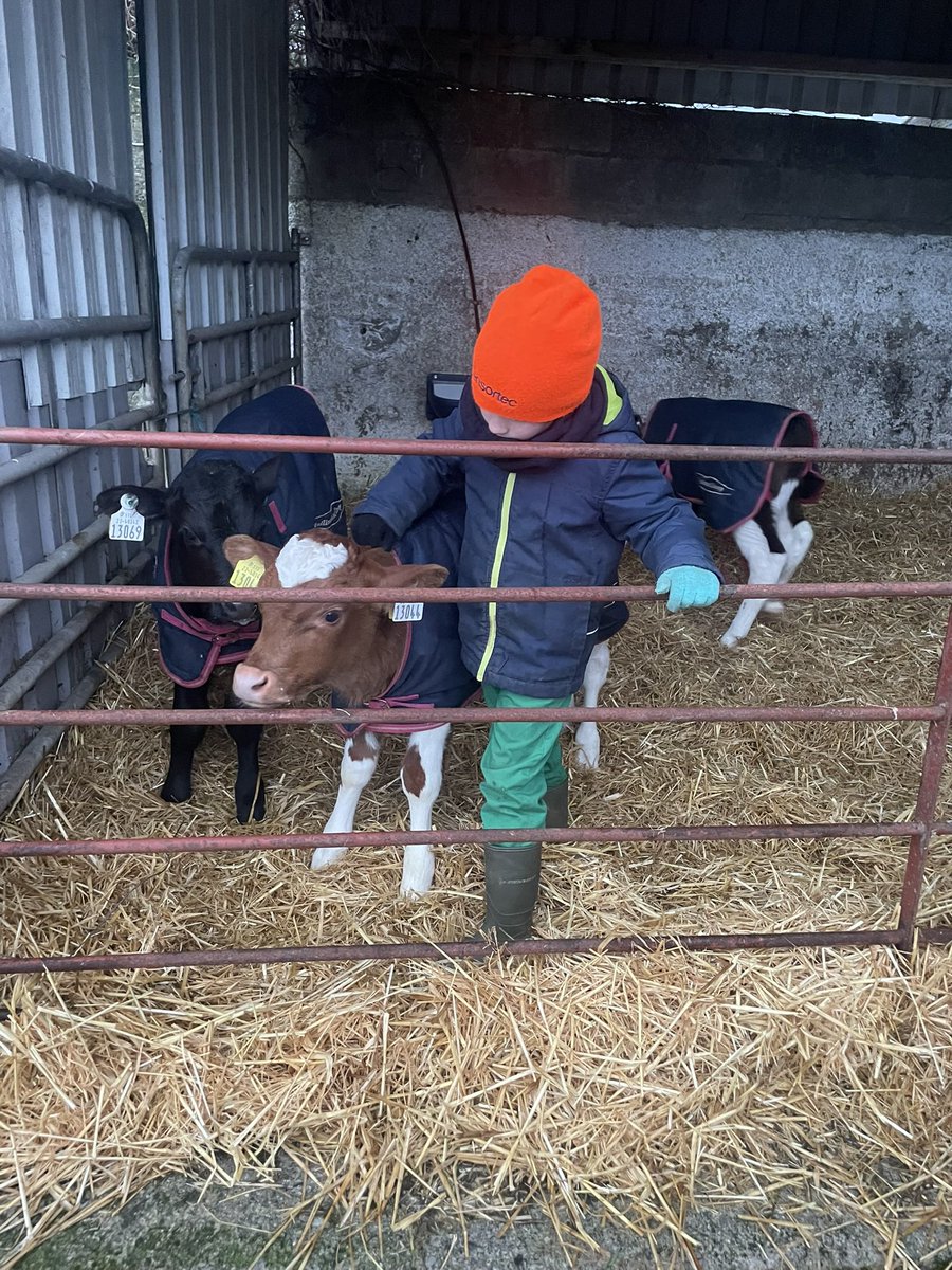 Ger Hogan tweet media