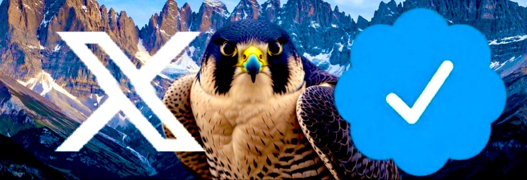 🆇 Ibra tweet media