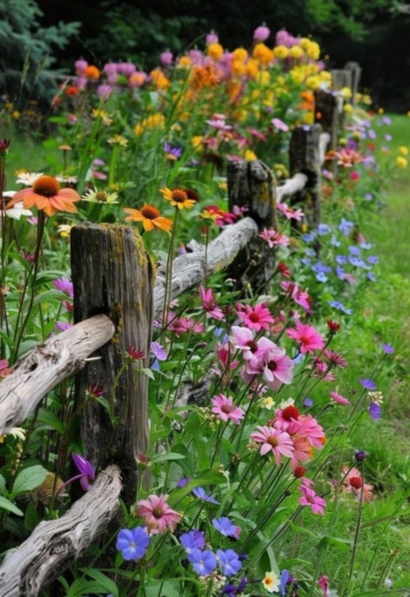 Poppy Mathobela tweet media