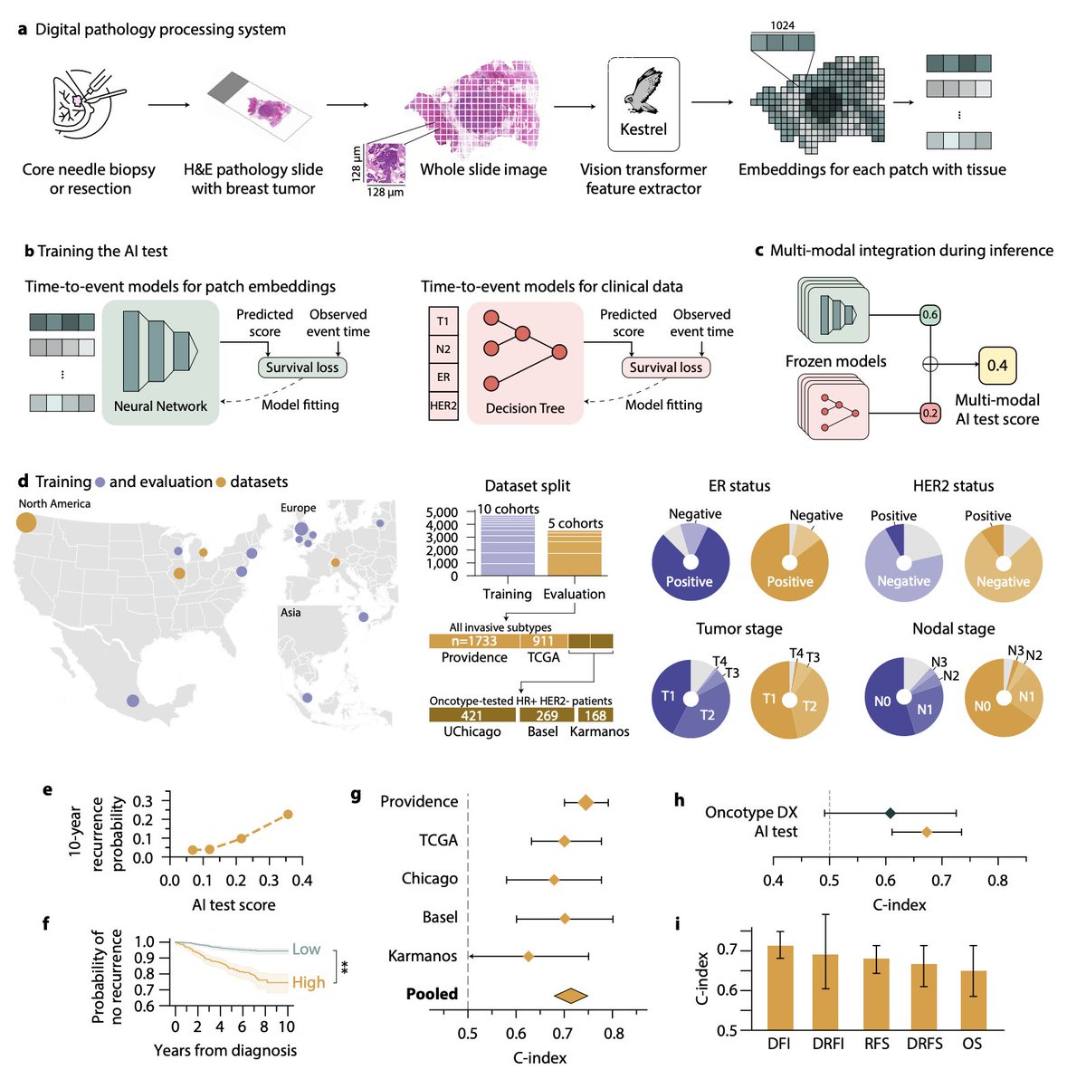 Jan Witowski tweet media