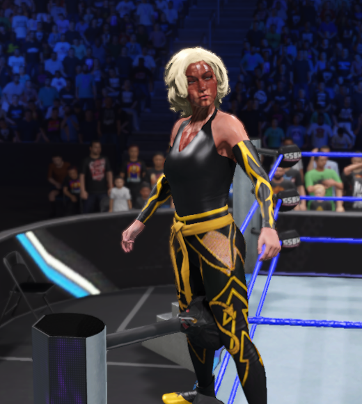 Super Smash Bros Wrestling tweet media