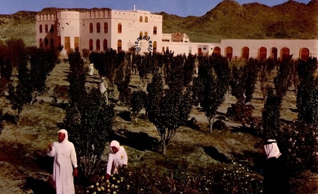 SWANA Insights tweet media