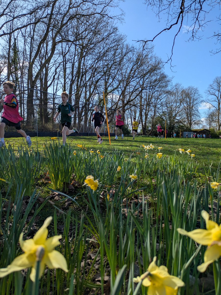 KES Prep Sport tweet media