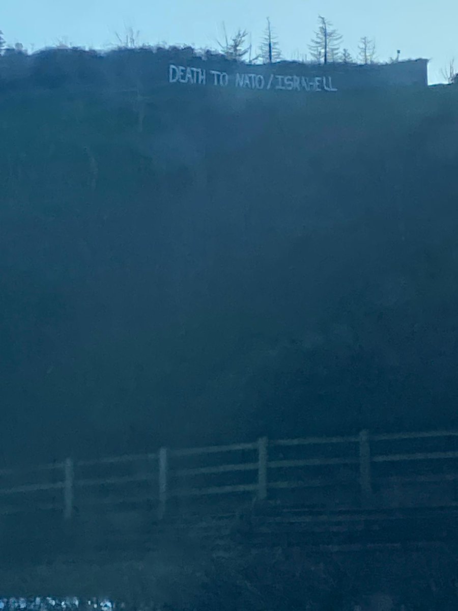 Majid 🇮🇪🇺🇲🇮🇱🇺🇦🦁🌞 tweet media