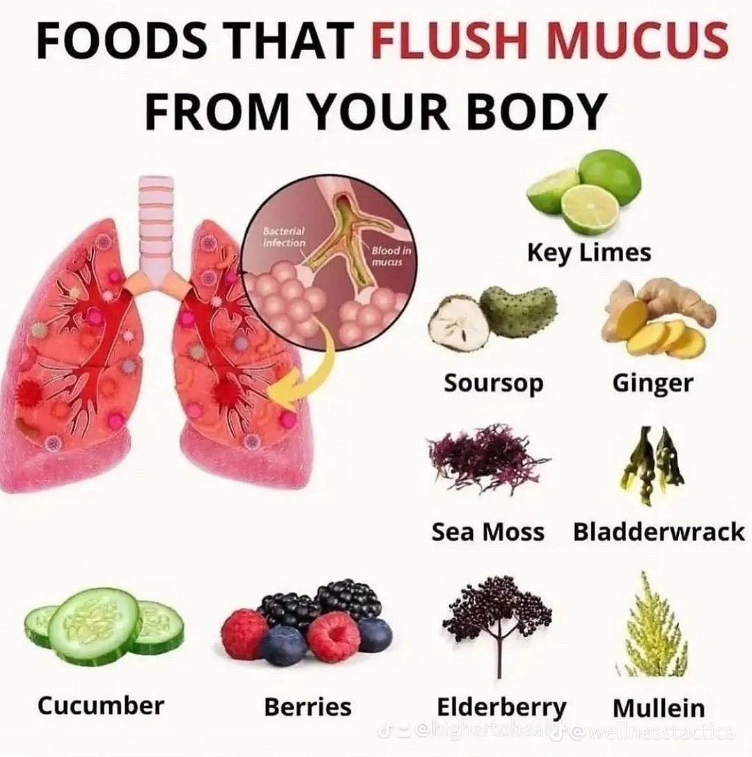 Alpha Fitness tweet media