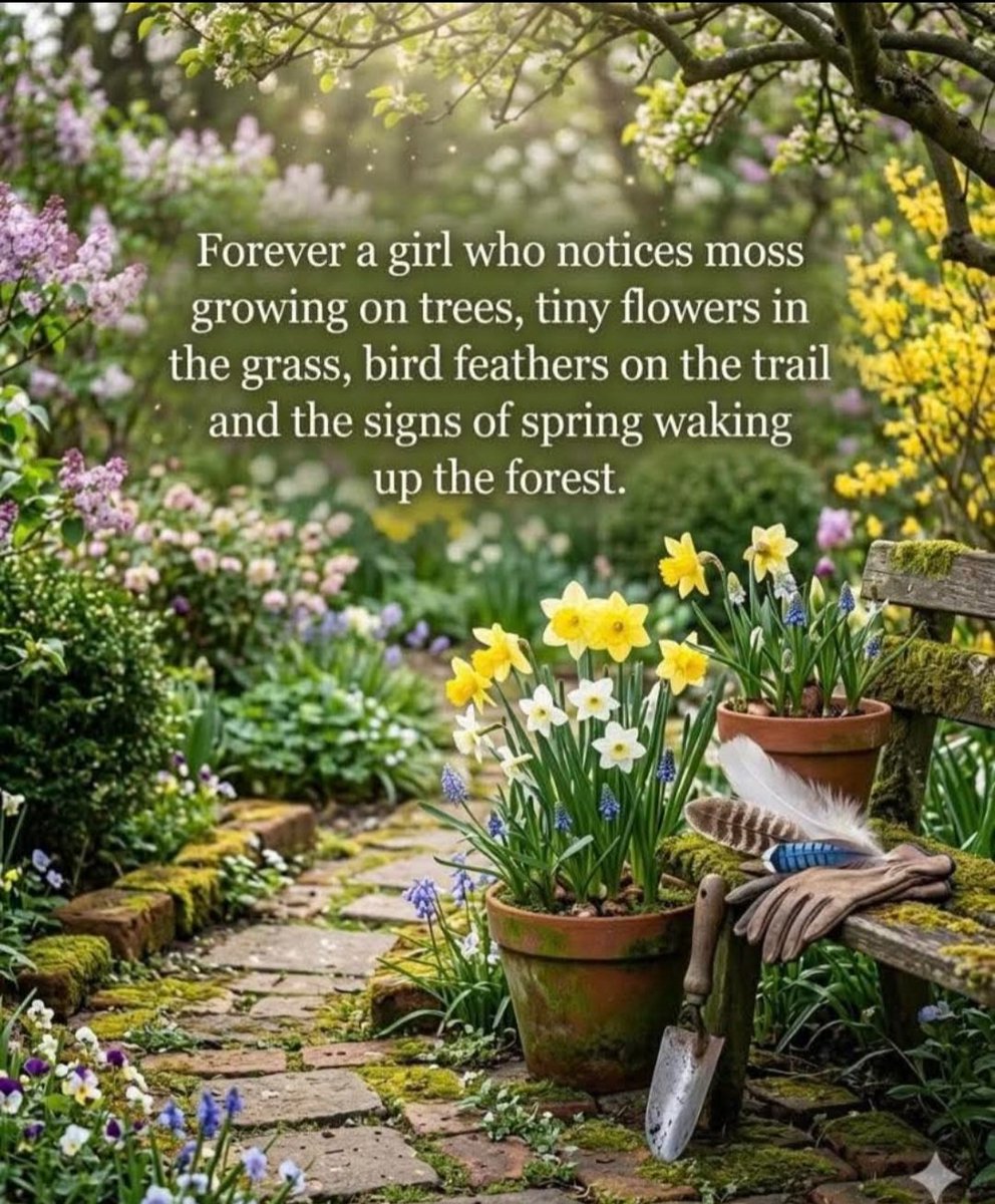 Maz Ryall tweet media