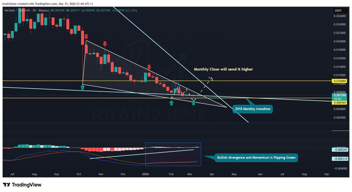 Brain2jene💫 tweet media