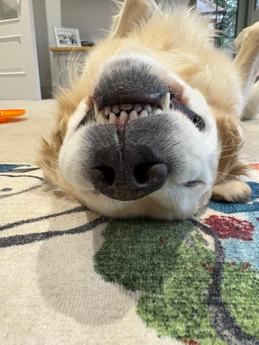 Hells Bells tweet media