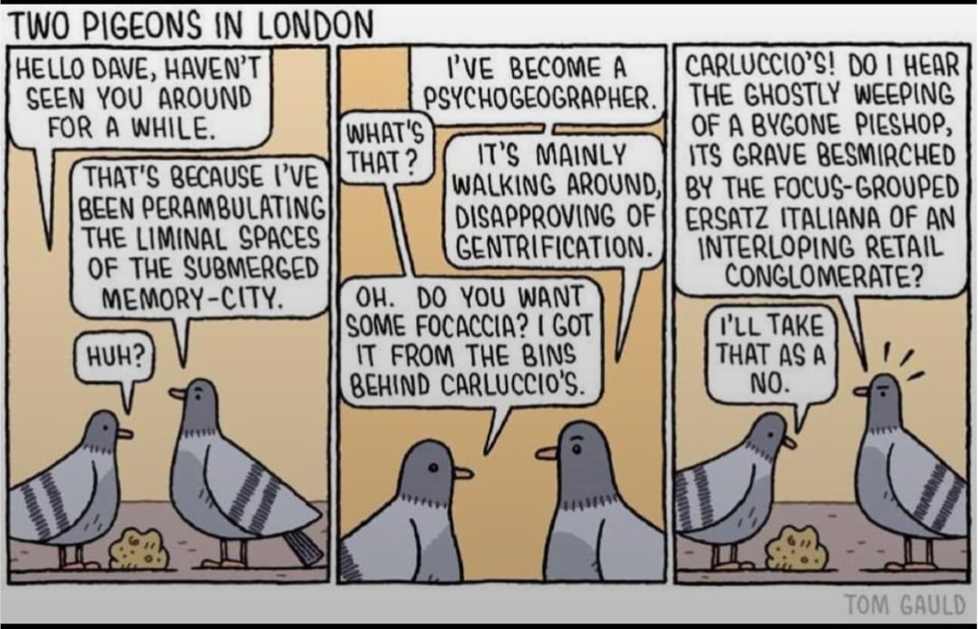 PC ThirtyOne tweet media