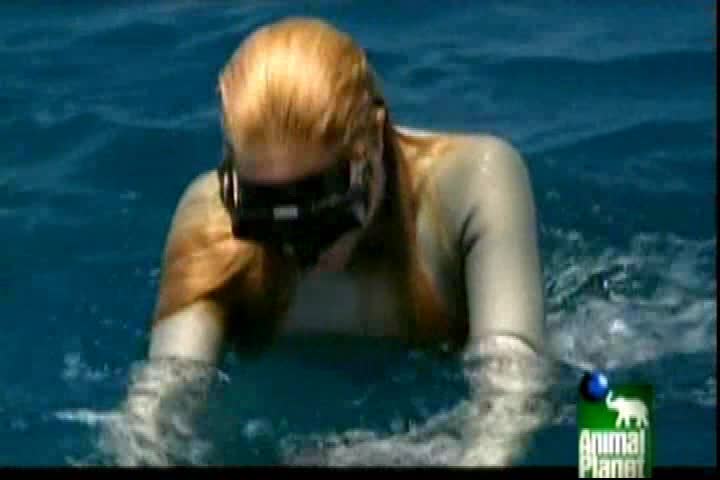 WamtecTV's tweet image. Freediver Breatholder Tanya Streeter - Full 1990s Documentary #underwater #scuba megastore.wamtec.com/clips.php?id=9… via megastore.wamtec.com