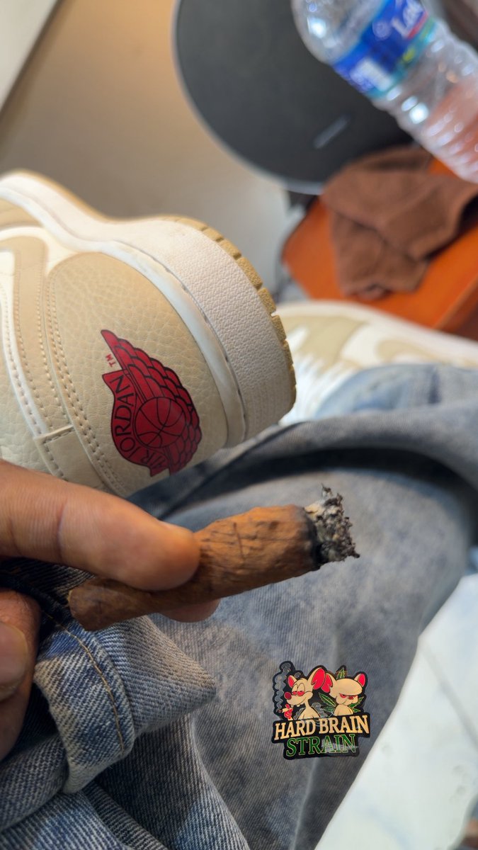 HARD BRAIN 🧠 STRAIN 🌳 tweet media