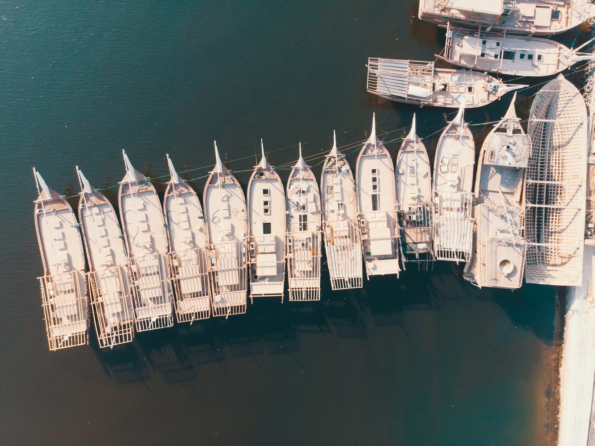 Visit Ajman tweet media