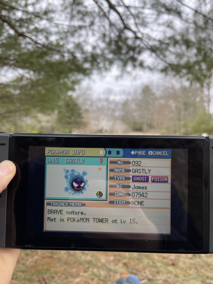 redsoxcatcher5's tweet photo. Shiny Gastly on Fire Red!!!!! LETS GOOO FIRST GEN 3 SHINY IN 15+ YEARS!!! 🥹 https://t.co/DJ1T5Jp3UU