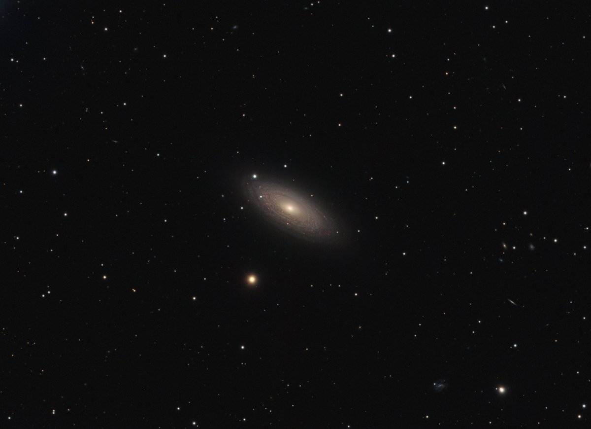 Bernd Flachsbart tweet media