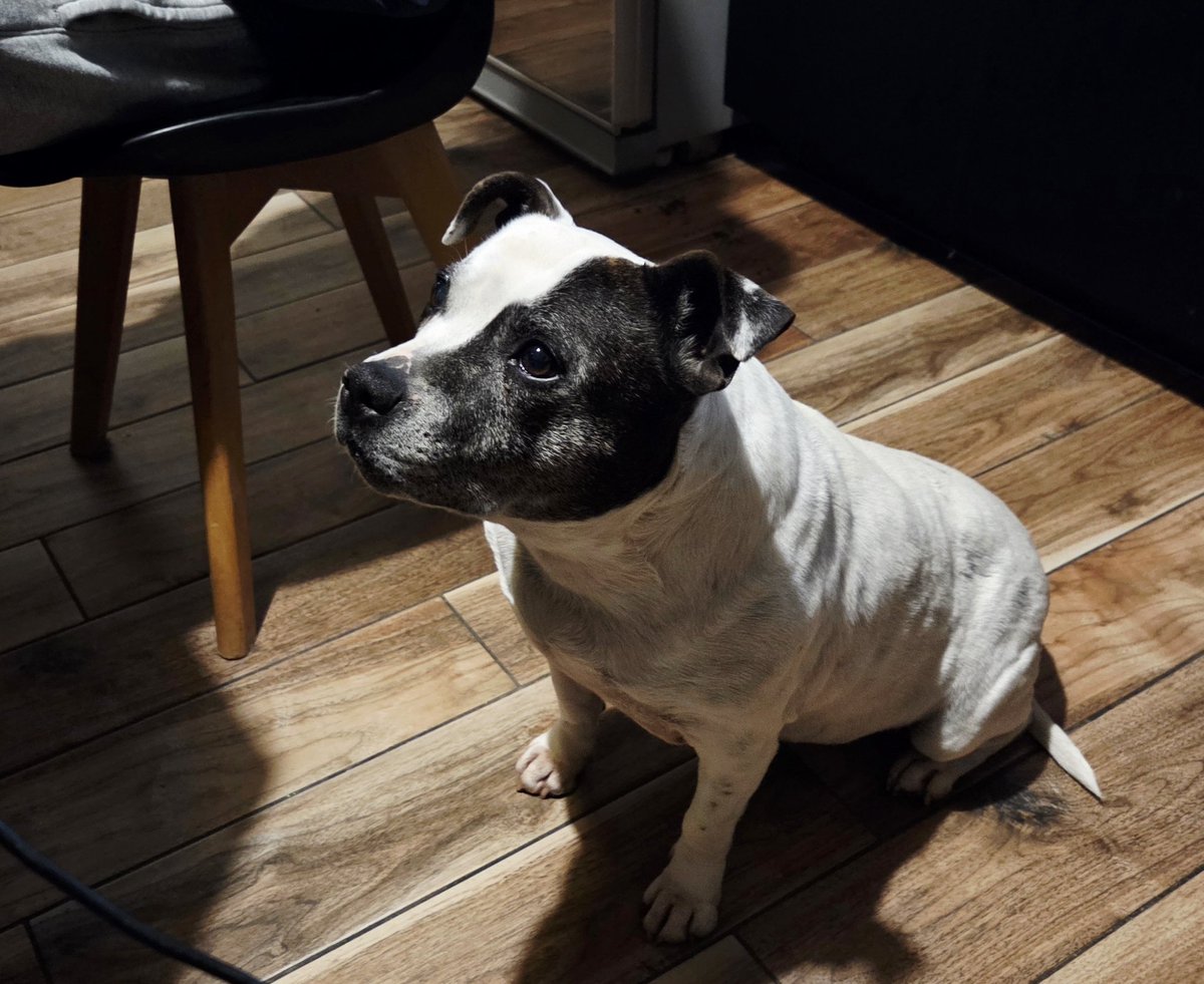 RavenAndCo tweet media