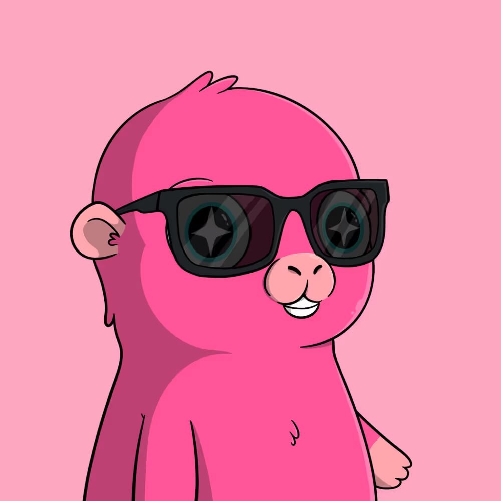 Daisy🌼CSG tweet media