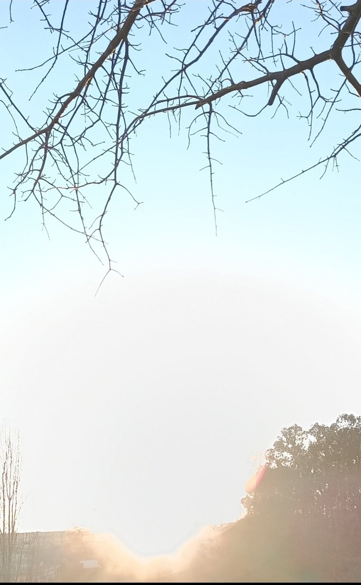 E assim desceste, sem as nuvens que ofuscam a luz, mas grato pela vénia dos galhos, saudosos da folhagem verde que jaz no subsolo, à espera do renascimento.

E do retorno das sombras pretas e brancas, velozes, fugidias e graciosas, que escrevem estrofes elaboradas no teto baixo