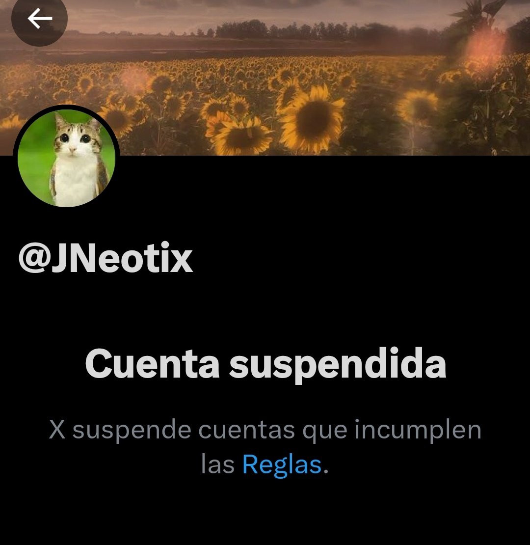 Tía Kathy 💥🦈(COMS OPEN) tweet media