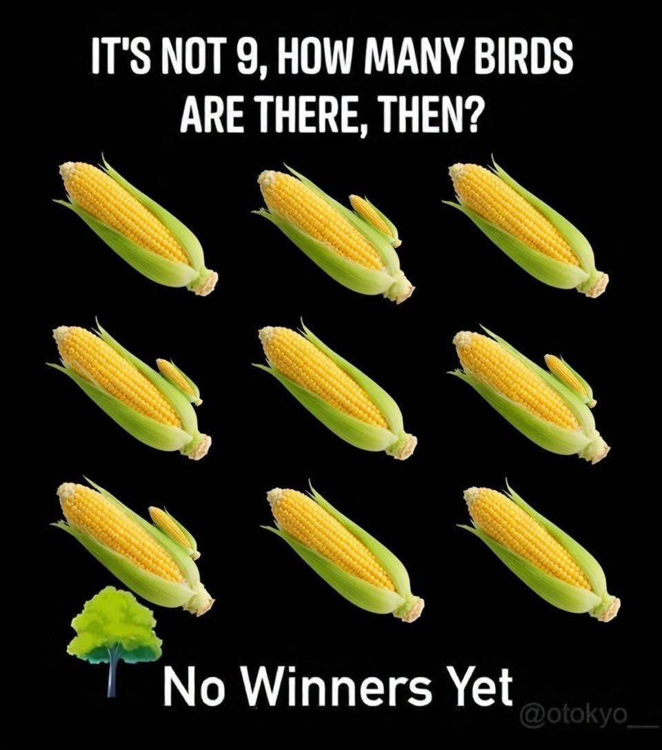 the NEW whale tweet media