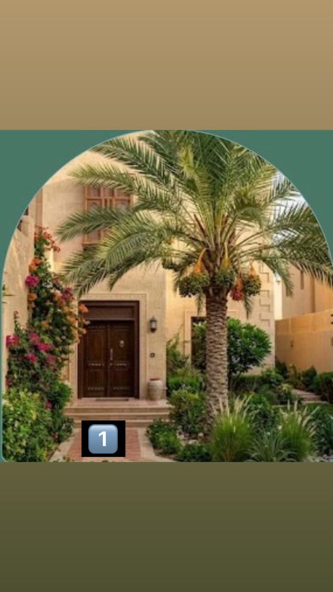sult3n666's tweet photo. كثير ناس يسألوني
وش الأشجار المناسبة لحديقة البيت؟

الحقيقة إن الشجرة الصح تغيّر شكل المكان بالكامل…
تعطي ظل، منظر جميل، وأحيانًا حتى ثمر.

هذي كم نوع  من الاشجار مناسبة لأجواءنا وتعيش حول البيت بسهولة.

1️⃣ النخيل
النخلة تعطي ظل خفيف وشكل جميل للمكان،
مناسبة عند المدخل أو على الممرات وتعطي إحساس طبيعي للبيت.

2️⃣ الجهنمية
من أجمل النباتات لتغطية الجدران،
ألوانها قوية وتعطي منظر حي ومميز.

3️⃣ الدفلى
تزهر أغلب السنة وتتحمل الشمس،
مناسبة للحدائق الخارجية وتعطي لون جميل.

4️⃣ الياسمين الهندي
أزهار بيضاء عطرها جميل،
مناسب عند المدخل أو الزوايا القريبة من الجلسات.

5️⃣ أكاسيا جلوكا
شجرة مرتبة وتعطي ظل خفيف،
وتتحمل الجفاف وقلة الري.

6️⃣ التيكوما
أزهارها الصفراء لافتة،
تزهر تحت الشمس وتعطي حيوية للمكان.

7️⃣ الليمون
شجرة جميلة ومثمرة،
مناسبة للحدائق المنزلية وتعطي فائدة ومنظر رائع.

8️⃣ الرمان
شجرة مميزة بزهورها وثمارها،
مناسبة للمساحات المتوسطة في الحديقة.

9️⃣ الزيتون
يتحمل الحرارة والجفاف،
يعطي شكل هادئ وأنيق للحديقة