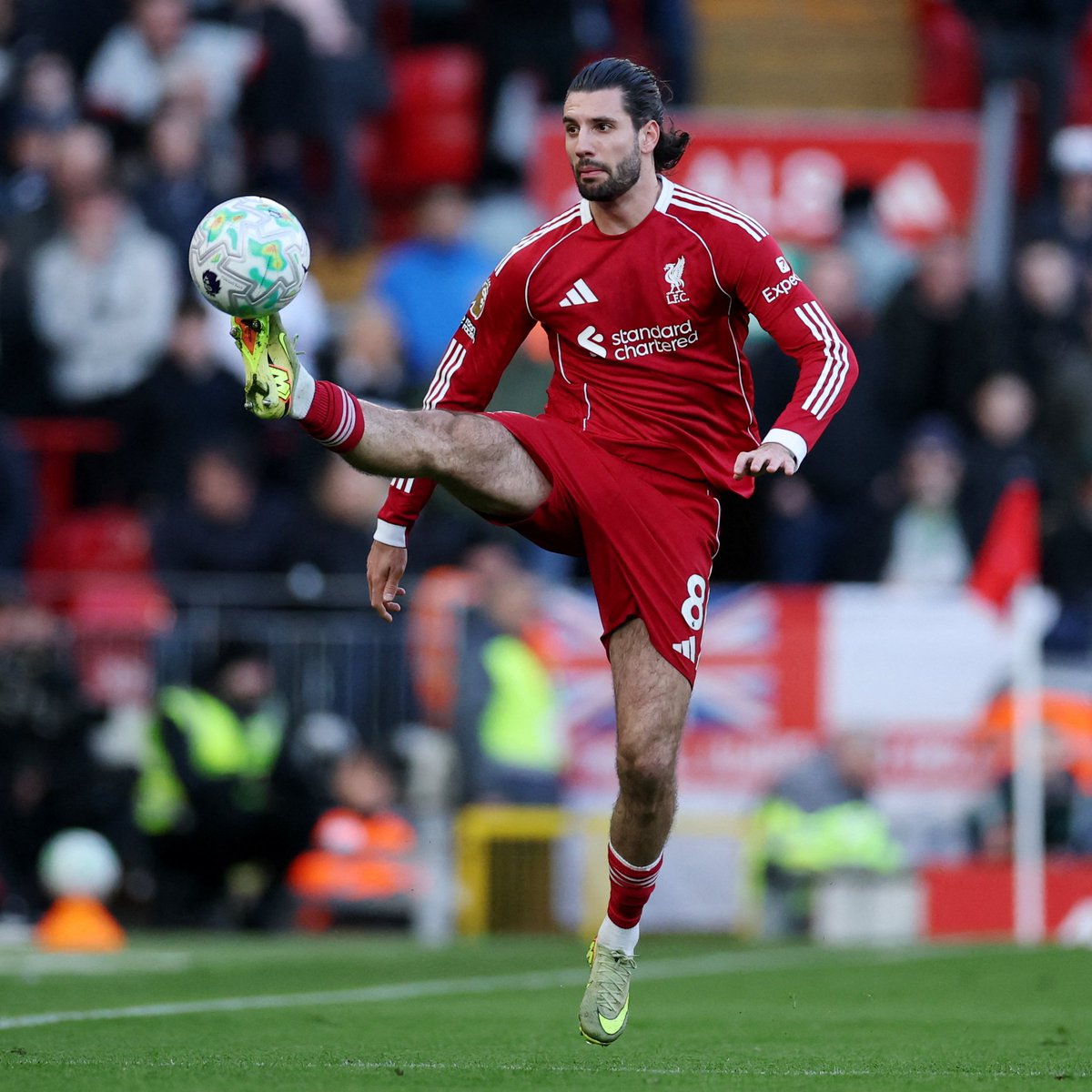 De Marke Sports tweet media