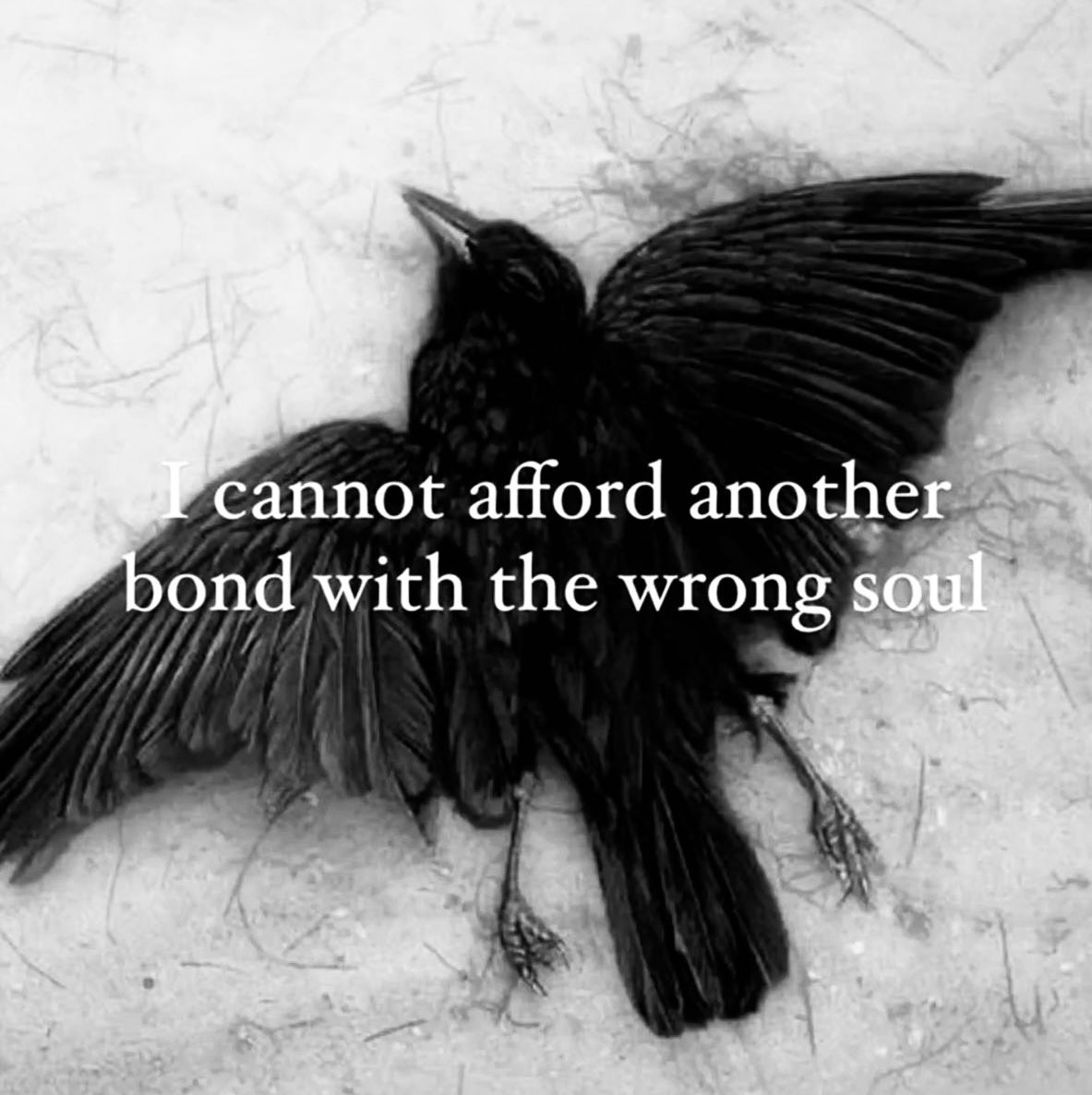 victimnoir's tweet photo. https://t.co/YD7K3EpUmg