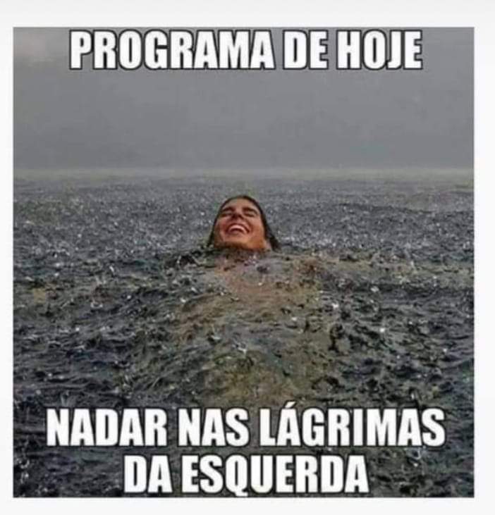 André Kipper tweet media