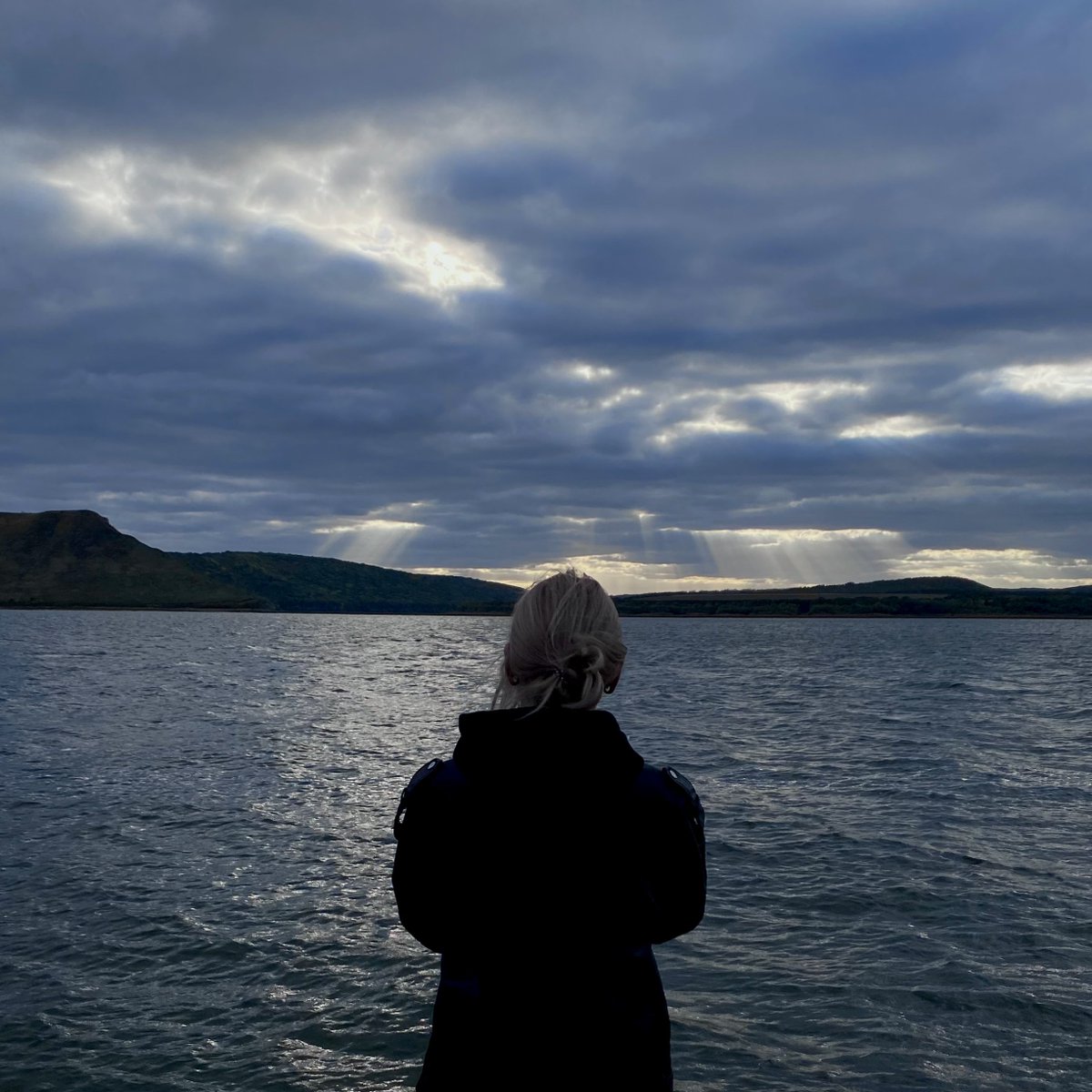 епопея tweet media