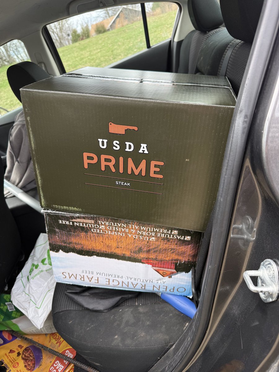 Lily Hankins tweet media