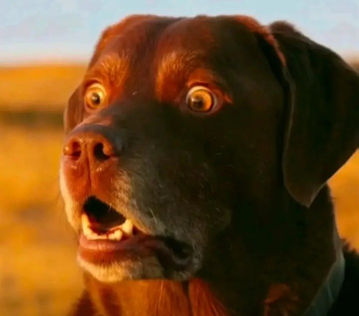 🪴✨Hander✨🪴 tweet media