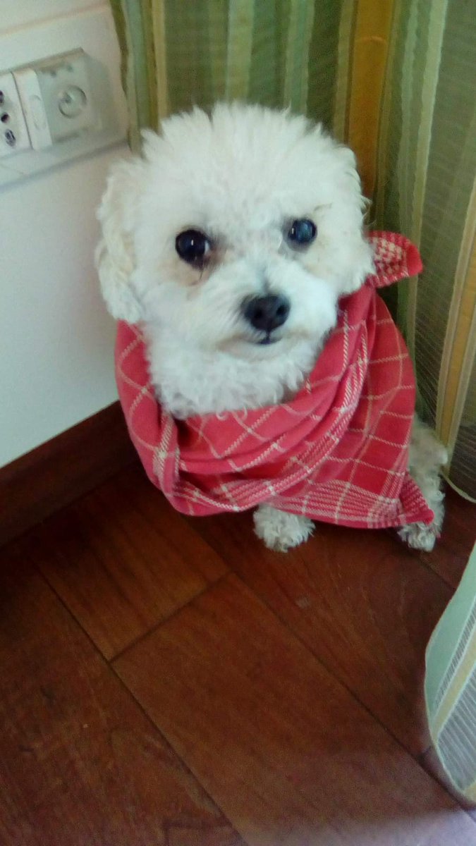 Donna Più Firenze negozio abbigliamento donna tweet media