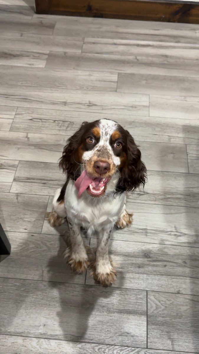 𝘢𝘯𝘢 ‧°𓏲ּ𝄢 tweet media