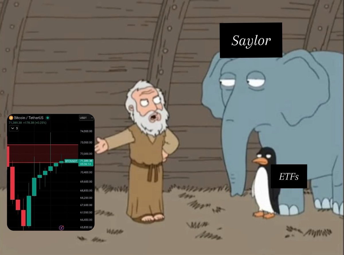 andreibratucu🦇🔊 tweet media