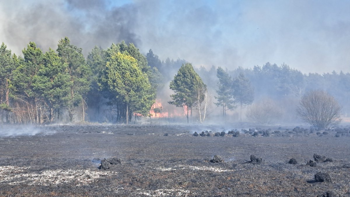 Państwowa Straż Pożarna tweet media