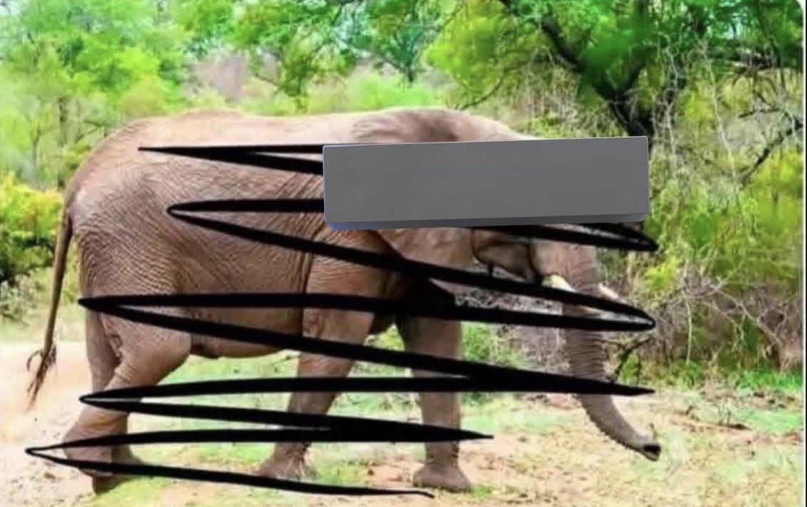 Mercy 🌺🌹 tweet media