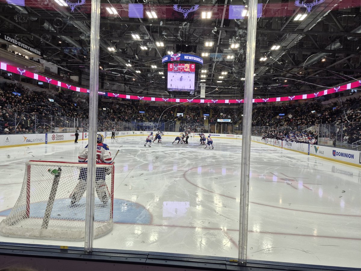 HowieF🫐🇨🇦 tweet media