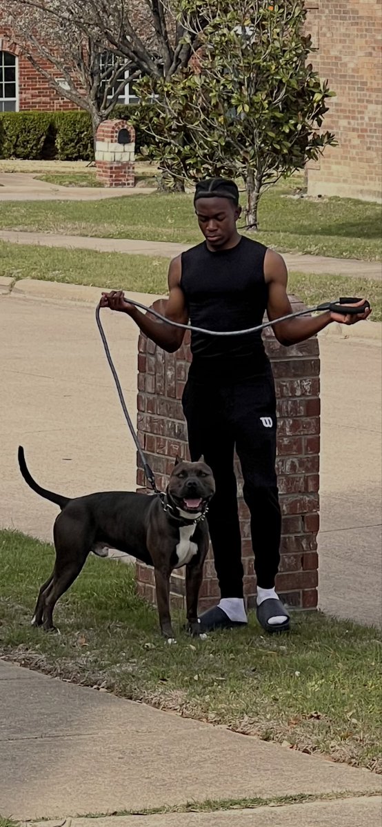 David J King tweet media