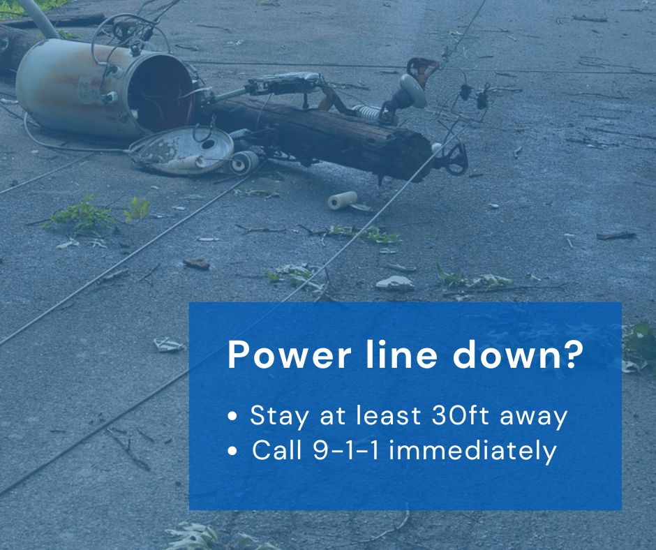 Toledo Edison tweet media