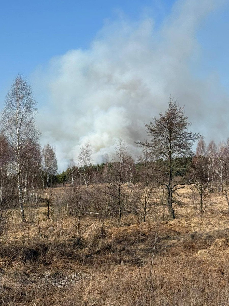 Państwowa Straż Pożarna tweet media