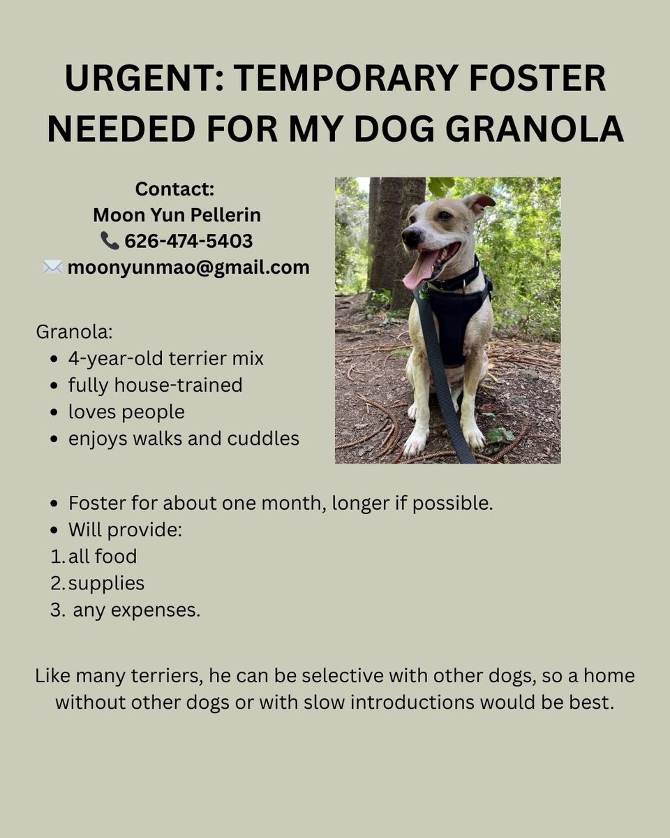 David Lucarelli tweet media