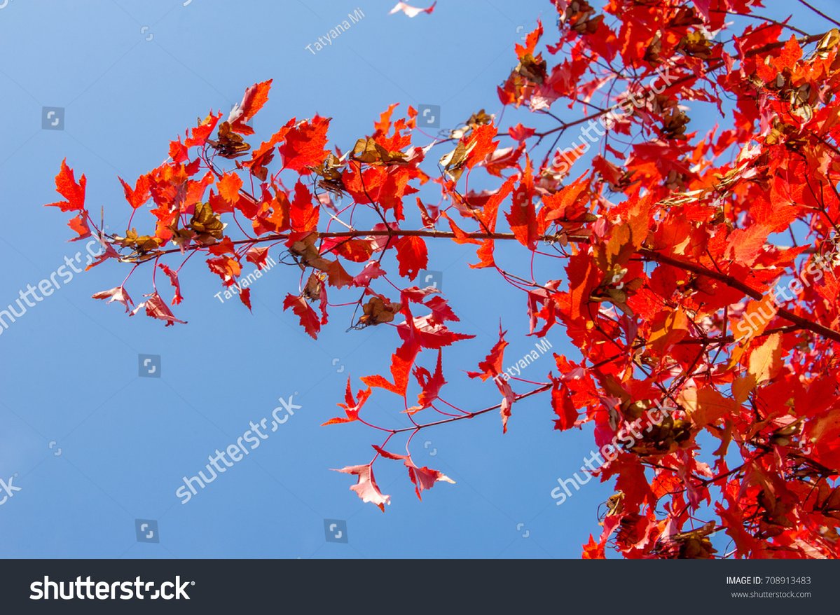 Robert Kozłowski tweet media