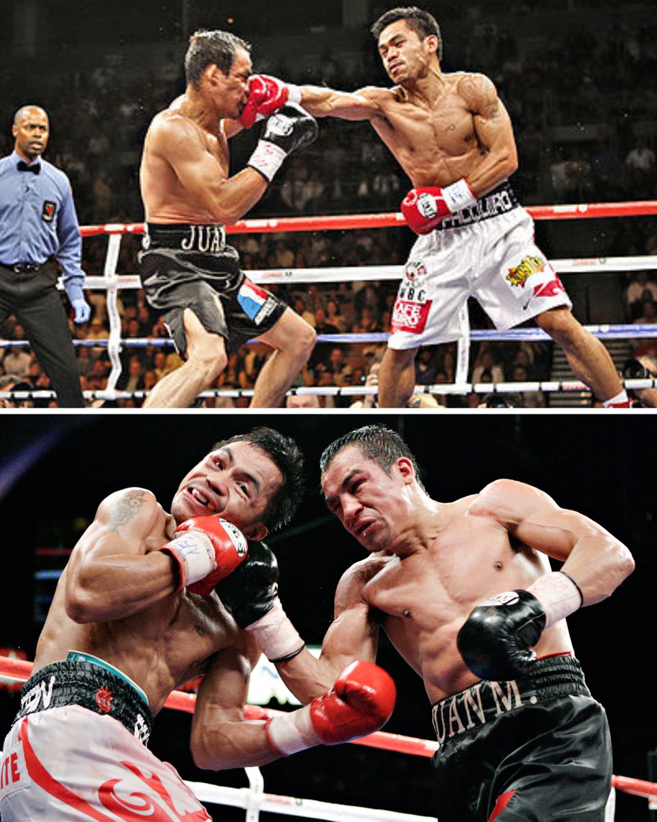 World Boxing Council tweet media