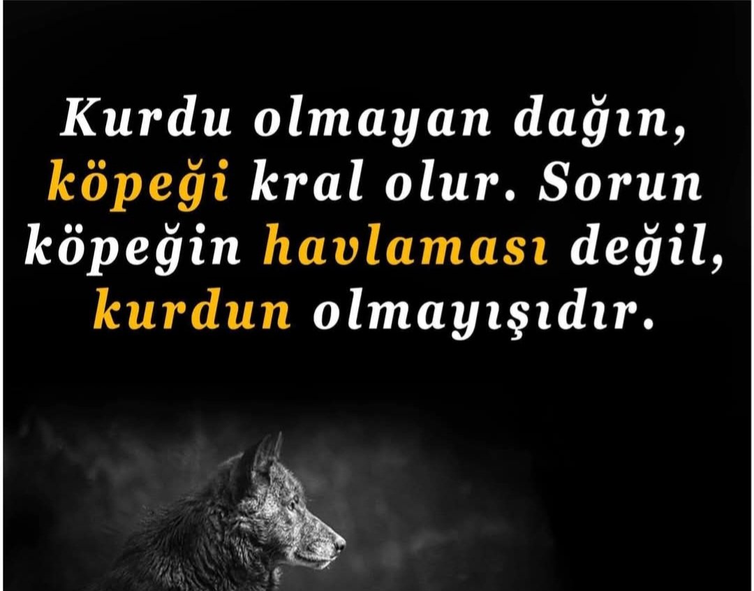 🅰️16-19  mart yükseliş beklediğim
🅱️hisseler👉❤️emeğe saygı takibe alın
#sasa #miatk #mogan #mndtr
#nugyo #ozgyo #quagr #reedr
#sanfm #silvr #sngyo #rpol
#vsnmd #vking 🔥🔥🔥
1- saygı 2- destek 3- takip
(YTD.Şahsi görüşümdür)😊🖐🇹🇷