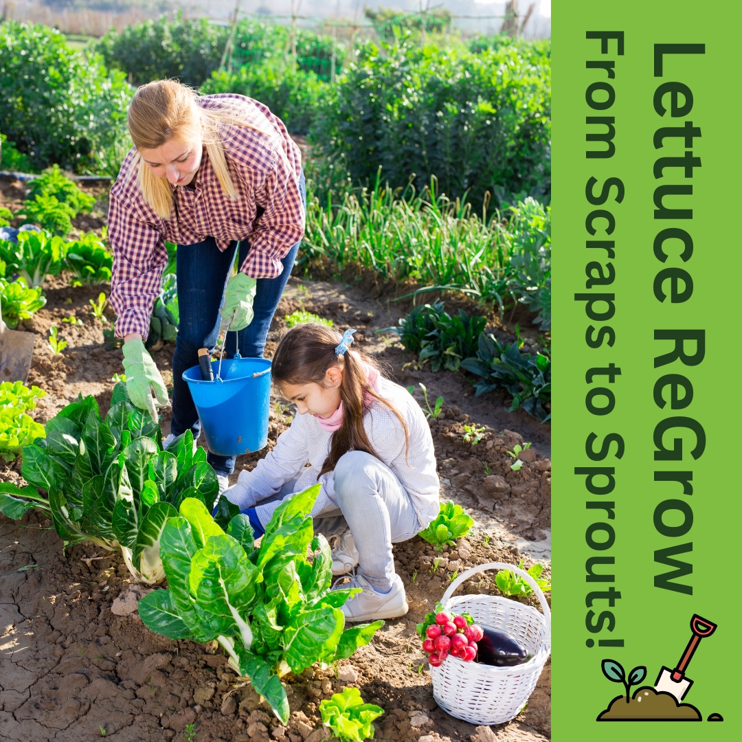 Jenise Gato aka "The Peaceful Agent" tweet media