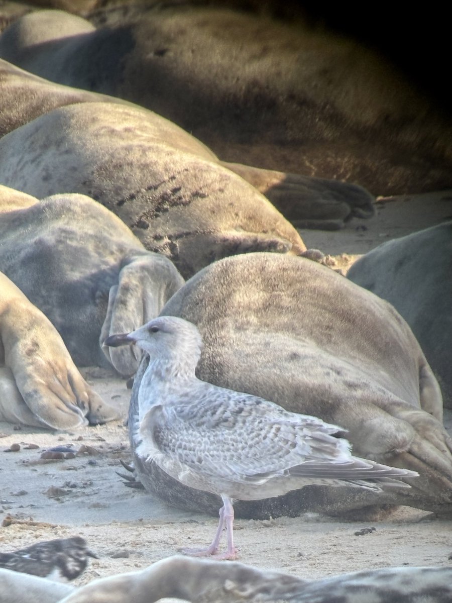 Steve Richards tweet media